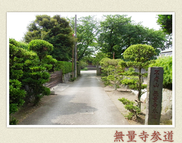 ���ʎ��Q��